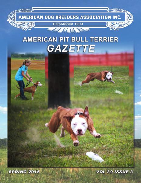 american pit bull terrier gazette