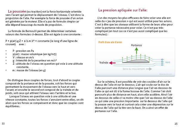 Tpe Le Vol Des Oiseaux Mars 2015